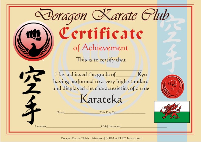 Free Karate Certificates freyelees